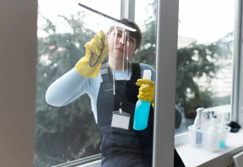 Nettoyage de vitres intérieures et extérieures à la Pacaudière